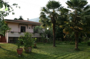Villa Casciani, Diecimo